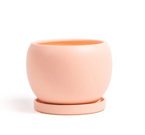 Bolle Pot