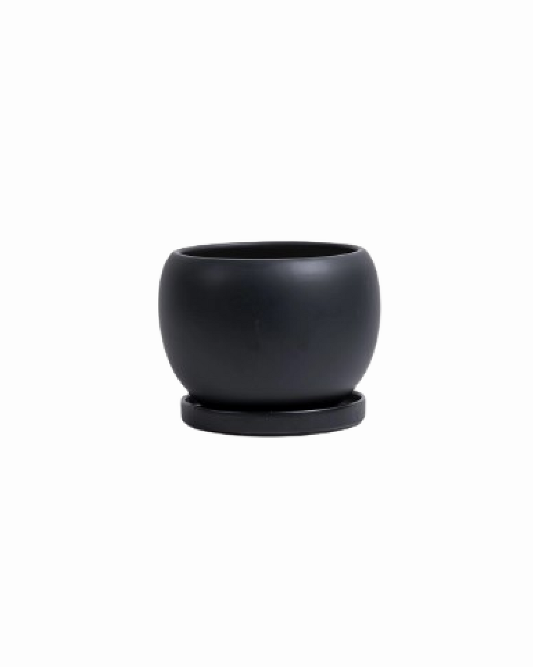 Bolle Pot