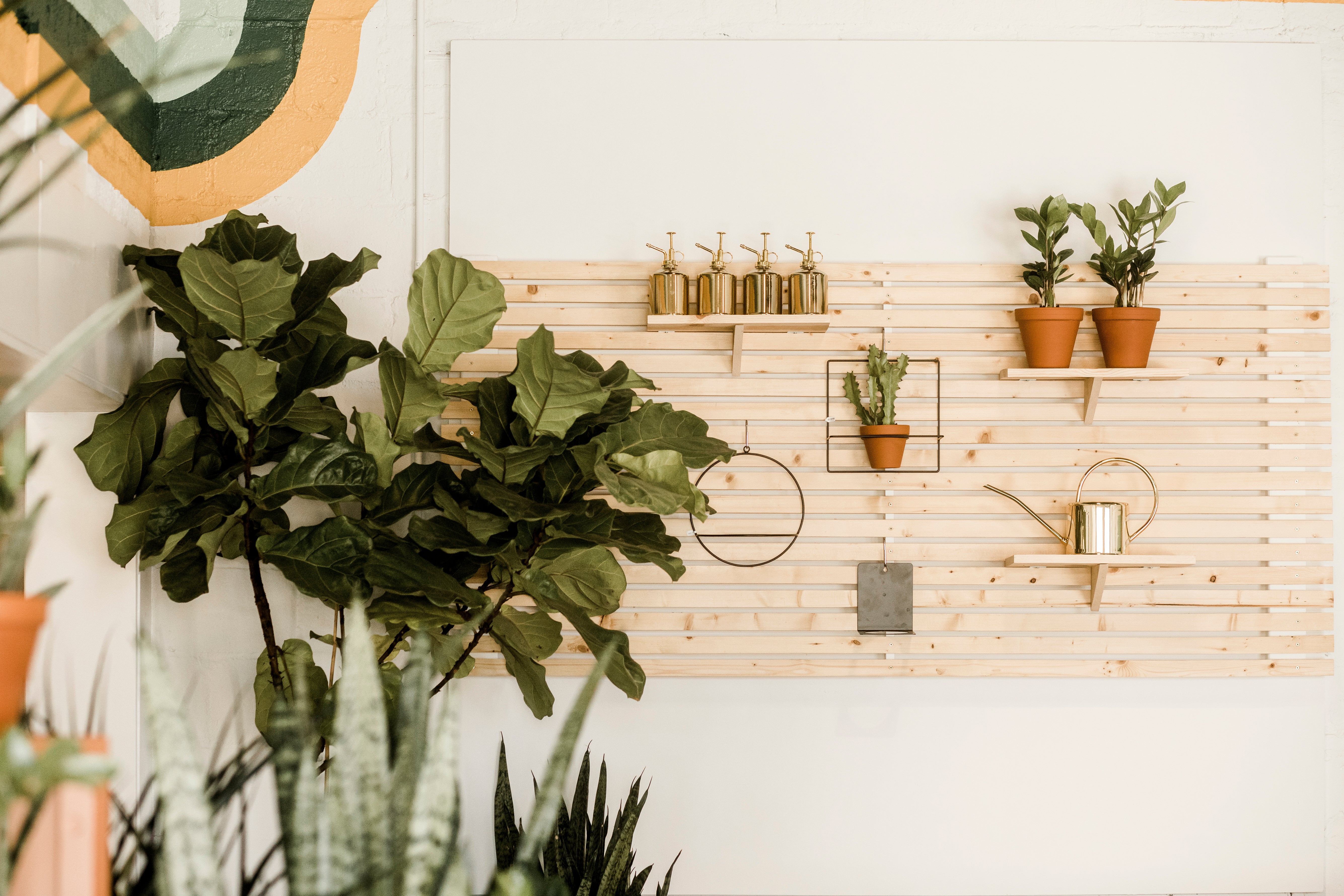 A photo inside Plant Shop