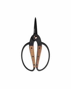 Garden Scissors